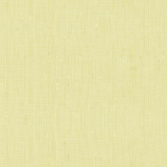 Espocada Fancy 2457/93