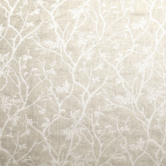 Liontex Latteo Atlante 22