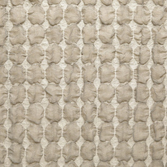 Liontex Latteo Bolide 20