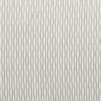 Liontex Latteo Teo 22